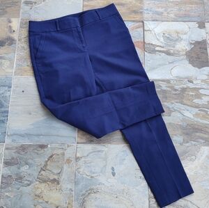 Ann Taylor LOFT | Size 10 | Blue Pants